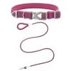 Frisco Outdoor Comfort Print Nylon Padded Collar, Large, Neck: 18 -26-in, Width: 1-in + Outdoor Ultra Reflective Rope Leash With Padded Handle, Boysenberry Purple, 6 - ft