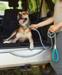 Frisco Outdoor Comfort Print Nylon Padded Collar, Medium - Neck: 14-20-in, Width: 3/4-in + Outdoor Ultra Reflective Rope Leash With Padded Handle, Bayou Teal, 6 - ft -Frisco Sales 2024 319076 PT8. SY630 V1631138777