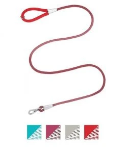 Frisco Outdoor Frisco Nylon Collar, Flamepoint Orange, Small-Neck: 10-14-in, Width: 5/8-in + Rope Leash With Padded Handle, Sunset Orange, 6-ft -Frisco Sales 2024 319098 PT5. SY630 V1631140276