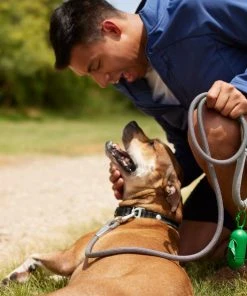 Frisco Outdoor Frisco Nylon Collar, Forest Green, Medium-Neck: 14-20-in, Width: 3/4-in + Rope Leash With Padded Handle, Stone Gray, 6-ft 19 Frisco Outdoor Frisco Nylon Collar, Forest Green, Medium-Neck: 14-20-in, Width: 3/4-in + Rope Leash With Padded Handle, Stone Gray, 6-ft -Frisco Sales 2024 319104 PT8. SY630 V1631158315