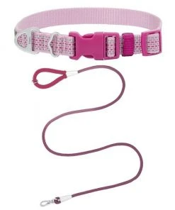 Frisco Outdoor Frisco Nylon Collar, Shadow Purple, Extra Small, Neck: 8-12-in, Width: 5/8th -in + Rope Leash With Padded Handle, Boysenberry Purple, 6-ft