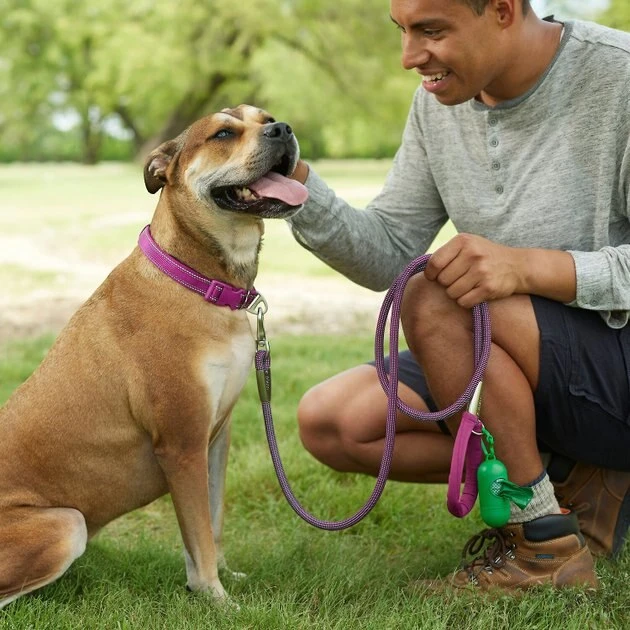 Frisco Outdoor Frisco Nylon Collar, Shadow Purple, Medium-Neck: 14-20-in, Width: 3/4-in + Rope Leash With Padded Handle, Boysenberry Purple, 6-ft 11 Frisco Outdoor Frisco Nylon Collar, Shadow Purple, Medium-Neck: 14-20-in, Width: 3/4-in + Rope Leash With Padded Handle, Boysenberry Purple, 6-ft - Image 9