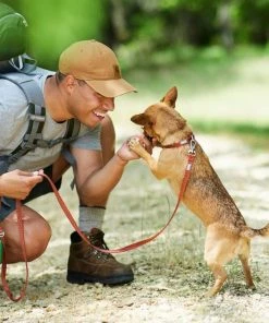 Frisco Outdoor Heathered Nylon Collar, Flamepoint Orange, Large, Neck: 18 -26-in, Width: 1-in + Dog Leash, Flamepoint Orange, Large - Length: 6-ft, Width: 1-in -Frisco Sales 2024 319118 PT7. SY630 V1631139706