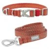 Frisco Outdoor Heathered Nylon Collar, Flamepoint Orange, Small - Neck: 10-14-in, Width: 5/8-in + Dog Leash, Flamepoint Orange, Small - Length: 6-ft, Width: 5/8-in -Frisco Sales 2024 319122 MAIN. SY630 V1631146298