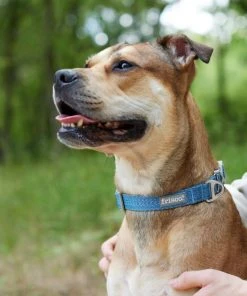 Frisco Outdoor Heathered Nylon Collar, River Blue, Large, Neck: 18 -26-in, Width: 1-in + Dog Leash, River Blue, Large - Length: 6-ft, Width: 1-in -Frisco Sales 2024 319134 PT4. SY630 V1631139707