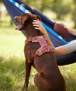 Frisco Outdoor Lightweight Ripstop Nylon Harness, Flamepoint Orange, Extra Large, Neck: 22 to 34-in, Girth: 32 to 44-in + Heathered Dog Leash, Flamepoint Orange, Large - Length: 6-ft, Width: 1-in -Frisco Sales 2024 319148 PT4. SY630 V1631156493