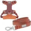 Frisco Outdoor Lightweight Ripstop Nylon Harness, Flamepoint Orange, Large, Neck: 18 to 28-in, Girth 24 to 34-in + Heathered Dog Leash, Flamepoint Orange, Large - Length: 6-ft, Width: 1-in -Frisco Sales 2024 319152 MAIN. SY630 V1631147795