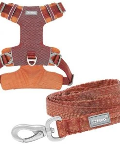 Frisco Outdoor Lightweight Ripstop Nylon Harness, Flamepoint Orange, Small, Neck: 13 to 19-in, Girth: 16 to 22-in + Heathered Dog Leash, Flamepoint Orange, Small - Length: 6-ft, Width: 5/8-in
