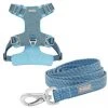 Frisco Outdoor Lightweight Ripstop Nylon Harness, River Blue, Extra Large, Neck: 22 to 34-in, Girth: 32 to 44-in + Heathered Dog Leash, River Blue, Large - Length: 6-ft, Width: 1-in