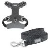 Frisco Outdoor Lightweight Ripstop Nylon Harness, Storm Gray, Extra Large, Neck: 22 to 34-in, Girth: 32 to 44-in + Heathered Dog Leash, Midnight Black, LG - Length: 6-ft, Width: 1-in -Frisco Sales 2024 319196 MAIN. SY630 V1631151688