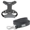 Frisco Outdoor Lightweight Ripstop Nylon Harness, Storm Gray, Large, Neck: 18 to 28-in, Girth 24 to 34-in + Heathered Dog Leash, Midnight Black, LG - Length: 6-ft, Width: 1-in 2 Frisco Outdoor Lightweight Ripstop Nylon Harness, Storm Gray, Large, Neck: 18 to 28-in, Girth 24 to 34-in + Heathered Dog Leash, Midnight Black, LG - Length: 6-ft, Width: 1-in -Frisco Sales 2024 319200 MAIN. SY630 V1631142991