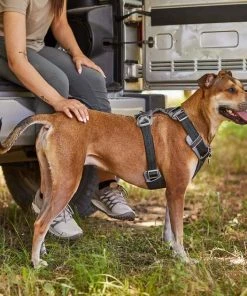 Frisco Outdoor Lightweight Ripstop Nylon Harness, Storm Gray, Large, Neck: 18 to 28-in, Girth 24 to 34-in + Heathered Dog Leash, Midnight Black, LG - Length: 6-ft, Width: 1-in -Frisco Sales 2024 319200 PT5. SY630 V1631151695