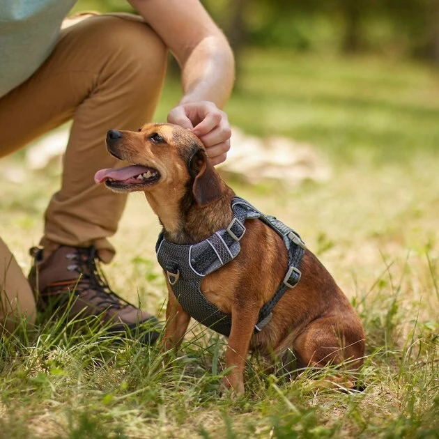 Frisco Outdoor Lightweight Ripstop Nylon Harness, Storm Gray, Small, Neck: 13 to 19-in, Girth: 16 to 22-in + Heathered Dog Leash, Midnight Black, SM - Length: 6-ft, Width: 5/8-in 8 Frisco Outdoor Lightweight Ripstop Nylon Harness, Storm Gray, Small, Neck: 13 to 19-in, Girth: 16 to 22-in + Heathered Dog Leash, Midnight Black, SM - Length: 6-ft, Width: 5/8-in - Image 6