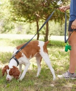 Frisco Outdoor Lightweight Ripstop Nylon Harness, Storm Gray, Small, Neck: 13 to 19-in, Girth: 16 to 22-in + Heathered Dog Leash, Midnight Black, SM - Length: 6-ft, Width: 5/8-in 19 Frisco Outdoor Lightweight Ripstop Nylon Harness, Storm Gray, Small, Neck: 13 to 19-in, Girth: 16 to 22-in + Heathered Dog Leash, Midnight Black, SM - Length: 6-ft, Width: 5/8-in -Frisco Sales 2024 319208 PT8. SY630 V1631160980