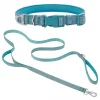Frisco Outdoor Nylon Reflective Comfort Padded Collar, Bayou Teal, Extra Small, Neck: 8-12-in, Width: 5/8th-in + Dog Leash, Bayou Teal, Small - Length: 6-ft, Width: 5/8-in -Frisco Sales 2024 319212 MAIN. SY630 V1631140273