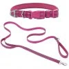 Frisco Outdoor Nylon Reflective Comfort Padded Collar, Boysenberry Purple, Extra Small, Neck: 8-12-in, Width: 5/8th -in + Dog Leash, Boysenberry Purple, Small - Length: 6-ft, Width: 5/8-in