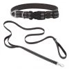 Frisco Outdoor Nylon Reflective Comfort Padded Collar, Midnight Black, MD - Neck: 14-20-in, Width: 3/4-in + Dog Leash, Midnight Black, MD - Length: 6-ft, Width: 3/4-in -Frisco Sales 2024 319230 MAIN. SY630 V1631154738