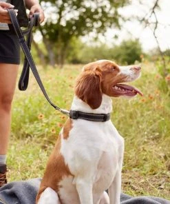 Frisco Outdoor Nylon Reflective Comfort Padded Collar, Midnight Black, SM - Neck: 10-14-in, Width: 5/8-in + Dog Leash, Midnight Black, SM - Length: 6-ft, Width: 5/8-in -Frisco Sales 2024 319232 PT8. SY630 V1631144806