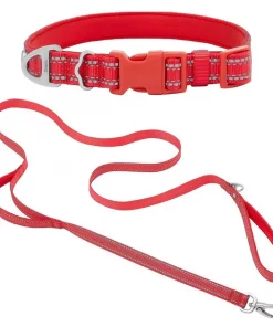 Frisco Outdoor Nylon Reflective Comfort Padded Collar, Sunset Orange, Large, Neck: 18 -26-in, Width: 1-in + Dog Leash, Sunset Orange, Large - Length: 6-ft, Width: 1-in