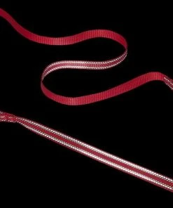 Frisco Outdoor Nylon Reflective Comfort Padded Collar, Sunset Orange, Large, Neck: 18 -26-in, Width: 1-in + Dog Leash, Sunset Orange, Large - Length: 6-ft, Width: 1-in -Frisco Sales 2024 319238 PT7. SY630 V1631159495