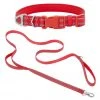 Frisco Outdoor Nylon Reflective Comfort Padded Collar, Sunset Orange, Medium - Neck: 14-20-in, Width: 3/4-in + Dog Leash, Sunset Orange, Medium - Length: 6-ft, Width: 3/4-in -Frisco Sales 2024 319240 MAIN. SY630 V1631152590