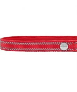 Frisco Outdoor Nylon Reflective Comfort Padded Collar, Sunset Orange, Medium - Neck: 14-20-in, Width: 3/4-in + Dog Leash, Sunset Orange, Medium - Length: 6-ft, Width: 3/4-in -Frisco Sales 2024 319240 PT2. SY630 V1631146880