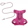 Frisco Outdoor Premium Ripstop Nylon Harness with Pocket, Boysenberry Purple, Extra Large, Neck: 22 to 34-in, Girth: 32 to 44-in + Waterproof Stinkproof PVC Rope Leash, Shadow Purple, 6 Ft. -Frisco Sales 2024 319272 MAIN. SY630 V1631206296