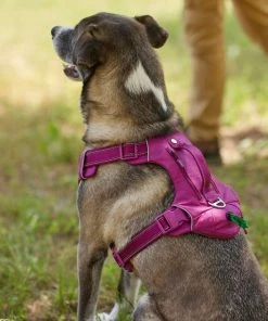Frisco Outdoor Premium Ripstop Nylon Harness with Pocket, Boysenberry Purple, Extra Large, Neck: 22 to 34-in, Girth: 32 to 44-in + Waterproof Stinkproof PVC Rope Leash, Shadow Purple, 6 Ft. -Frisco Sales 2024 319272 PT4. SY630 V1631206271