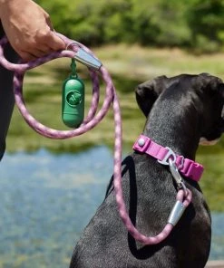 Frisco Outdoor Premium Ripstop Nylon Harness with Pocket, Boysenberry Purple, Extra Large, Neck: 22 to 34-in, Girth: 32 to 44-in + Waterproof Stinkproof PVC Rope Leash, Shadow Purple, 6 Ft. -Frisco Sales 2024 319272 PT8. SY630 V1631206273