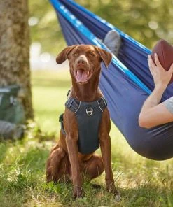 Frisco Outdoor Premium Ripstop Nylon Harness with Pocket, Midnight Black, XL - Girth: 32-44-in + Reflective Comfort Padded Dog Collar, Midnight Black, LG, Neck: 18 -26-in, Width: 1-in -Frisco Sales 2024 319304 PT4. SY630 V1631148069