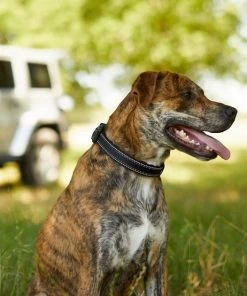 Frisco Outdoor Premium Ripstop Nylon Harness with Pocket, Midnight Black, XL - Girth: 32-44-in + Reflective Comfort Padded Dog Collar, Midnight Black, LG, Neck: 18 -26-in, Width: 1-in -Frisco Sales 2024 319304 PT8. SY630 V1631147478