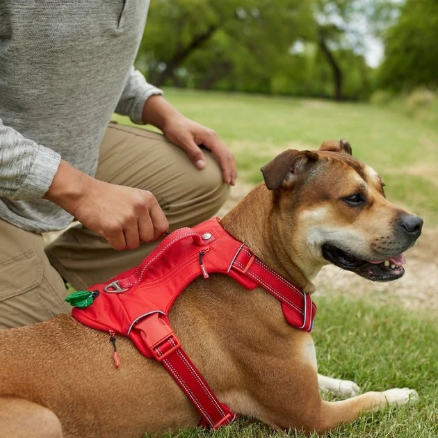 Frisco Outdoor Premium Ripstop Nylon Harness with Pocket, Sunset Orange, Extra Large, Neck: 22 to 34-in, Girth: 32 to 44-in + Reflective Comfort Padded Dog Leash, Sunset Orange, Large - Length: 6-ft, Width: 1-in 7 Frisco Outdoor Premium Ripstop Nylon Harness with Pocket, Sunset Orange, Extra Large, Neck: 22 to 34-in, Girth: 32 to 44-in + Reflective Comfort Padded Dog Leash, Sunset Orange, Large - Length: 6-ft, Width: 1-in - Image 5