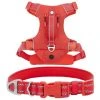 Frisco Outdoor Premium Ripstop Nylon Harness with Pocket, Sunset Orange, Large, Neck: 18 to 28-in, Girth 24 to 34-in + Reflective Comfort Padded Dog Collar, Sunset Orange, Large, Neck: 18 -26-in, Width: 1-in 2 Frisco Outdoor Premium Ripstop Nylon Harness with Pocket, Sunset Orange, Large, Neck: 18 to 28-in, Girth 24 to 34-in + Reflective Comfort Padded Dog Collar, Sunset Orange, Large, Neck: 18 -26-in, Width: 1-in -Frisco Sales 2024 319314 MAIN. SY630 V1630620992
