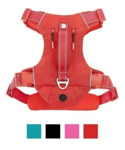 Frisco Outdoor Premium Ripstop Nylon Harness with Pocket, Sunset Orange, Medium, Neck: 15 to 23-in, Girth, 20 to 28-in + Waterproof Stinkproof PVC Rope Leash, Sunset Orange, 6 Ft. -Frisco Sales 2024 319324 PT1. SY630 V1630626383