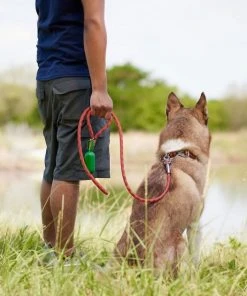 Frisco Outdoor Premium Ripstop Nylon Harness with Pocket, Sunset Orange, Medium, Neck: 15 to 23-in, Girth, 20 to 28-in + Waterproof Stinkproof PVC Rope Leash, Sunset Orange, 6 Ft. -Frisco Sales 2024 319324 PT8. SY630 V1630620676