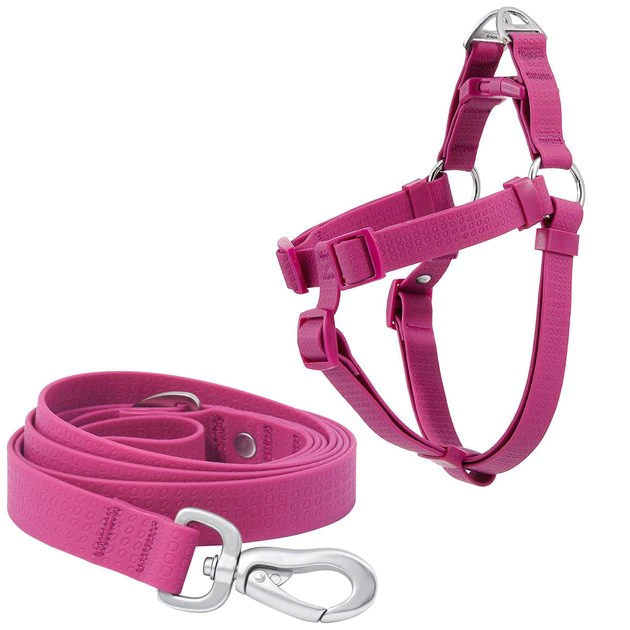 Frisco Outdoor Solid Textured Waterproof Stink Proof PVC Harness, Boysenberry Purple, Medium, Neck: 16 to 22-in, Girth: 19 to 29-in + Dog Leash, Boysenberry Purple, Medium - Length: 6-ft, Width: 3/4-in 3 Frisco Outdoor Solid Textured Waterproof Stink Proof PVC Harness, Boysenberry Purple, Medium, Neck: 16 to 22-in, Girth: 19 to 29-in + Dog Leash, Boysenberry Purple, Medium - Length: 6-ft, Width: 3/4-in