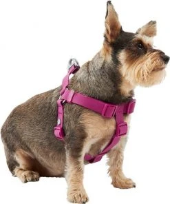 Frisco Outdoor Solid Textured Waterproof Stink Proof PVC Harness, Boysenberry Purple, Medium, Neck: 16 to 22-in, Girth: 19 to 29-in + Dog Leash, Boysenberry Purple, Medium - Length: 6-ft, Width: 3/4-in 12 Frisco Outdoor Solid Textured Waterproof Stink Proof PVC Harness, Boysenberry Purple, Medium, Neck: 16 to 22-in, Girth: 19 to 29-in + Dog Leash, Boysenberry Purple, Medium - Length: 6-ft, Width: 3/4-in -Frisco Sales 2024 319358 PT2. SY630 V1631153195