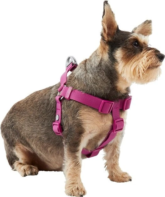 Frisco Outdoor Solid Textured Waterproof Stink Proof PVC Harness, Boysenberry Purple, Small, Neck: 14 to 19-in, Girth: 16 to 23-in + Dog Leash, Boysenberry Purple, Small - Length: 6-ft, Width: 5/8-in 5 Frisco Outdoor Solid Textured Waterproof Stink Proof PVC Harness, Boysenberry Purple, Small, Neck: 14 to 19-in, Girth: 16 to 23-in + Dog Leash, Boysenberry Purple, Small - Length: 6-ft, Width: 5/8-in - Image 3