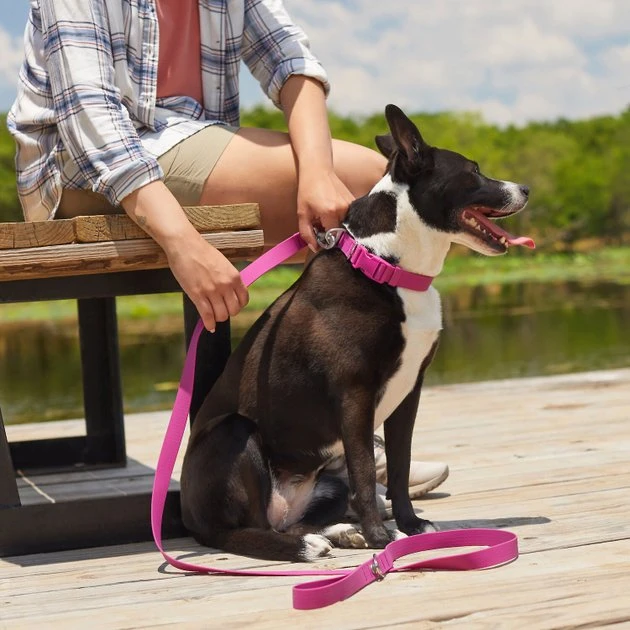 Frisco Outdoor Solid Textured Waterproof Stink Proof PVC Harness, Boysenberry Purple, Small, Neck: 14 to 19-in, Girth: 16 to 23-in + Dog Leash, Boysenberry Purple, Small - Length: 6-ft, Width: 5/8-in 10 Frisco Outdoor Solid Textured Waterproof Stink Proof PVC Harness, Boysenberry Purple, Small, Neck: 14 to 19-in, Girth: 16 to 23-in + Dog Leash, Boysenberry Purple, Small - Length: 6-ft, Width: 5/8-in - Image 8