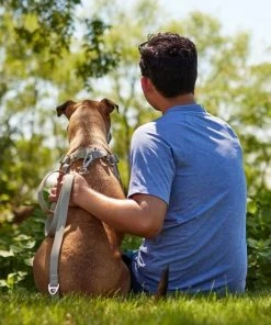 Frisco Outdoor Solid Textured Waterproof Stink Proof PVC Harness, Storm Gray, Medium, Neck: 16 to 22-in, Girth: 19 to 29-in + Dog Leash, Storm Gray, Medium - Length: 6-ft, Width: 3/4-in -Frisco Sales 2024 319366 PT8. SY630 V1631150480