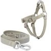 Frisco Outdoor Solid Textured Waterproof Stink Proof PVC Harness, Storm Gray, Small, Neck: 14 to 19-in, Girth: 16 to 23-in + Dog Leash, Storm Gray, Small - Length: 6-ft, Width: 5/8-in 2 Frisco Outdoor Solid Textured Waterproof Stink Proof PVC Harness, Storm Gray, Small, Neck: 14 to 19-in, Girth: 16 to 23-in + Dog Leash, Storm Gray, Small - Length: 6-ft, Width: 5/8-in -Frisco Sales 2024 319368 MAIN. SY630 V1631154382
