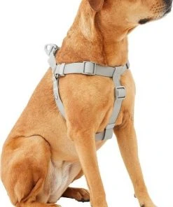 Frisco Outdoor Solid Textured Waterproof Stink Proof PVC Harness, Storm Gray, Small, Neck: 14 to 19-in, Girth: 16 to 23-in + Dog Leash, Storm Gray, Small - Length: 6-ft, Width: 5/8-in 13 Frisco Outdoor Solid Textured Waterproof Stink Proof PVC Harness, Storm Gray, Small, Neck: 14 to 19-in, Girth: 16 to 23-in + Dog Leash, Storm Gray, Small - Length: 6-ft, Width: 5/8-in -Frisco Sales 2024 319368 PT2. SY630 V1631155880