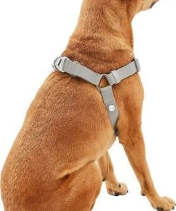 Frisco Outdoor Solid Textured Waterproof Stink Proof PVC Harness, Storm Gray, Small, Neck: 14 to 19-in, Girth: 16 to 23-in + Dog Leash, Storm Gray, Small - Length: 6-ft, Width: 5/8-in 14 Frisco Outdoor Solid Textured Waterproof Stink Proof PVC Harness, Storm Gray, Small, Neck: 14 to 19-in, Girth: 16 to 23-in + Dog Leash, Storm Gray, Small - Length: 6-ft, Width: 5/8-in -Frisco Sales 2024 319368 PT3. SY630 V1631159780