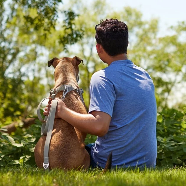 Frisco Outdoor Solid Textured Waterproof Stink Proof PVC Harness, Storm Gray, Small, Neck: 14 to 19-in, Girth: 16 to 23-in + Dog Leash, Storm Gray, Small - Length: 6-ft, Width: 5/8-in 11 Frisco Outdoor Solid Textured Waterproof Stink Proof PVC Harness, Storm Gray, Small, Neck: 14 to 19-in, Girth: 16 to 23-in + Dog Leash, Storm Gray, Small - Length: 6-ft, Width: 5/8-in - Image 9