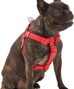 Frisco Outdoor Solid Textured Waterproof Stink Proof PVC Harness, Sunset Orage, Large, Neck: 19 to 27-in, Girth: 23 to 36-in + Dog Leash, Sunset Orange, LG - Length: 6-ft, Width: 1-in 13 Frisco Outdoor Solid Textured Waterproof Stink Proof PVC Harness, Sunset Orage, Large, Neck: 19 to 27-in, Girth: 23 to 36-in + Dog Leash, Sunset Orange, LG - Length: 6-ft, Width: 1-in -Frisco Sales 2024 319372 PT2. SY630 V1631152598
