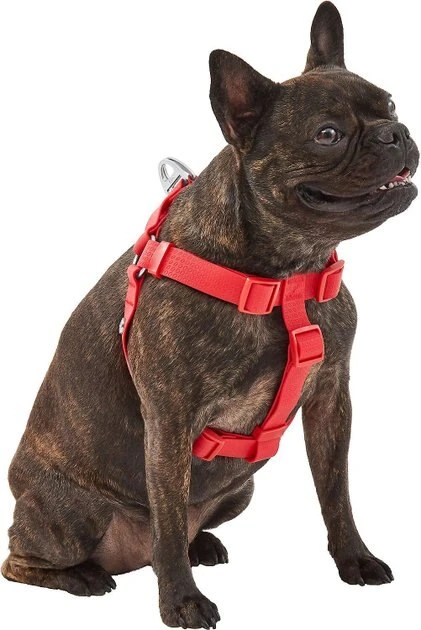 Frisco Outdoor Solid Textured Waterproof Stink Proof PVC Harness, Sunset Orage, Large, Neck: 19 to 27-in, Girth: 23 to 36-in + Dog Leash, Sunset Orange, LG - Length: 6-ft, Width: 1-in 5 Frisco Outdoor Solid Textured Waterproof Stink Proof PVC Harness, Sunset Orage, Large, Neck: 19 to 27-in, Girth: 23 to 36-in + Dog Leash, Sunset Orange, LG - Length: 6-ft, Width: 1-in - Image 3