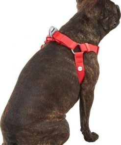 Frisco Outdoor Solid Textured Waterproof Stink Proof PVC Harness, Sunset Orage, Large, Neck: 19 to 27-in, Girth: 23 to 36-in + Dog Leash, Sunset Orange, LG - Length: 6-ft, Width: 1-in 14 Frisco Outdoor Solid Textured Waterproof Stink Proof PVC Harness, Sunset Orage, Large, Neck: 19 to 27-in, Girth: 23 to 36-in + Dog Leash, Sunset Orange, LG - Length: 6-ft, Width: 1-in -Frisco Sales 2024 319372 PT3. SY630 V1631155600