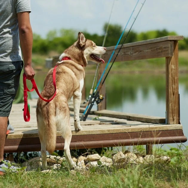 Frisco Outdoor Solid Textured Waterproof Stink Proof PVC Harness, Sunset Orage, Large, Neck: 19 to 27-in, Girth: 23 to 36-in + Dog Leash, Sunset Orange, LG - Length: 6-ft, Width: 1-in 11 Frisco Outdoor Solid Textured Waterproof Stink Proof PVC Harness, Sunset Orage, Large, Neck: 19 to 27-in, Girth: 23 to 36-in + Dog Leash, Sunset Orange, LG - Length: 6-ft, Width: 1-in - Image 9
