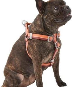 Frisco Outdoor Two Tone Waterproof Stinkproof PVC Harness, Flamepoint Orange, Medium, Neck: 16 to 22-in, Girth: 19 to 29-in + Dog Collar, Flamepoint Orange, Medium - Neck: 14½-20-in, Width: 3/4-in -Frisco Sales 2024 319382 PT2. SY630 V1631145371