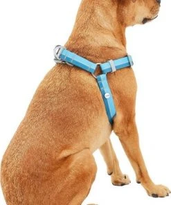 Frisco Outdoor Two Tone Waterproof Stinkproof PVC Harness, River Blue,Extra Large, Neck: 22 to 33-in, Girth: 32 to 44-in + Outdoor Two Tone Waterproof Stinkproof PVC Harness, River Blue, Large, Neck: 19 to 27-in, Girth: 23 to 36-in -Frisco Sales 2024 319396 PT3. SY630 V1630623399